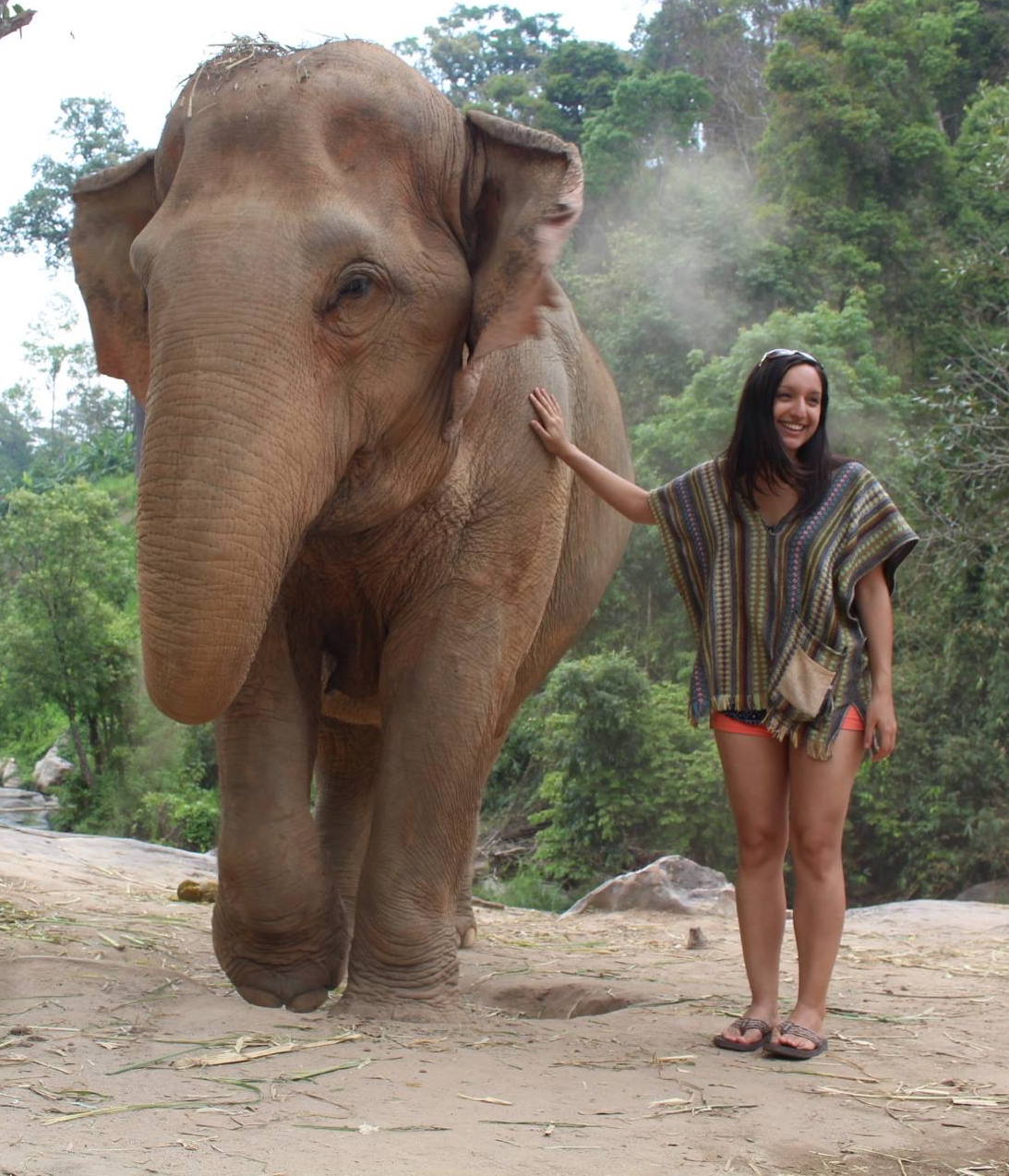 lisa occhino go fly solo elephant thailand